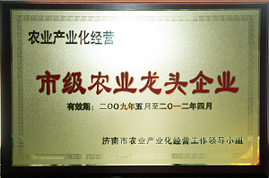 20250124104061306130 俄罗斯专享会294VIP(中国区)官方网站
